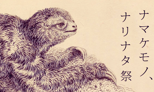 ナマケモノ、ナリナタ祭