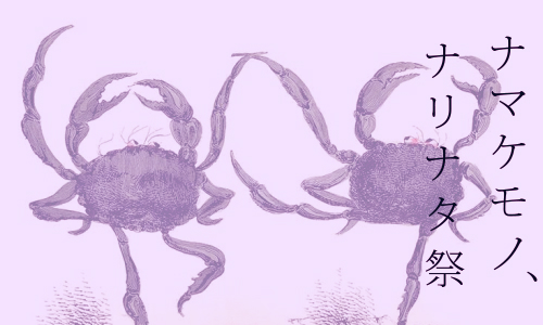ナマケモノ、ナリナタ祭