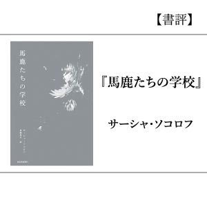 書評『馬鹿たちの学校』サーシャ・ソコロフ